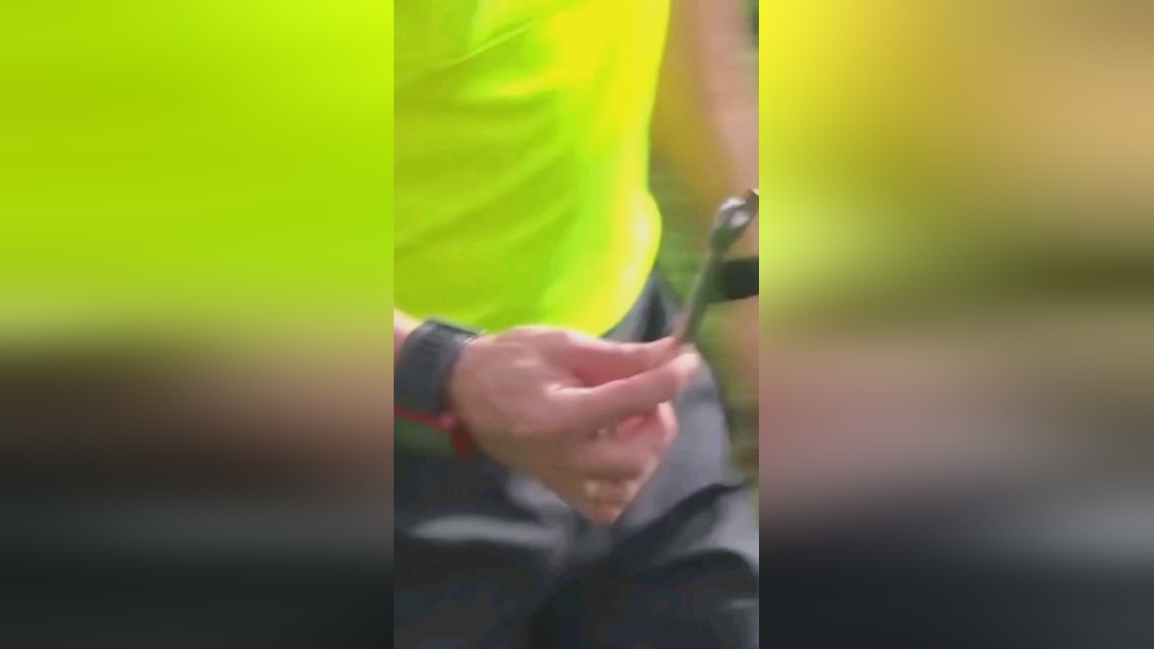 局中都有